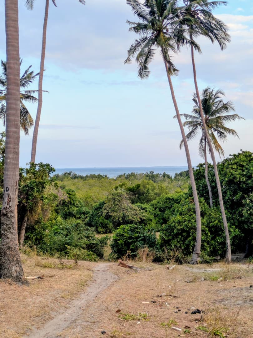 Beach Plot & Seaview